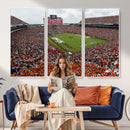 Jordan-Hare Stadium Wall Art Canvas Print, College Sports