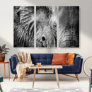 Wild Old Elephant Wall Art Canvas Print