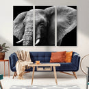 Big Elephant Close Up Wall Art Canvas Print