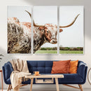 Texas Catle Longhorn Wall Art Canvas Print for Farmhouse by MyGreatCanvas | Canvas Wall Art Prints | Photo Prints & Wall Decor