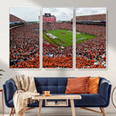 Auburn Stadium Wall Art Canvas Print, Jordan Hare Stadium by MyGreatCanvas | Canvas Wall Art Prints | Photo Prints & Wall Decor