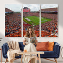 Auburn Stadium Wall Art Canvas Print, Jordan Hare Stadium