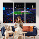 Ole Miss Rebels Vaught Hemingway Stadium Wall Art Canvas