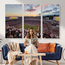 Donald W. Reynolds Razorback Stadium Wall Art Canvas Print –