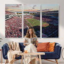 Ole Miss Rebels Vaught Hemingway Stadium Wall Art Canvas