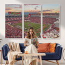 Donald W. Reynolds Razorback Stadium Wall Art Canvas Print –