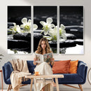 Plumeria Frangipani Black Stone Canvas | White Flower Spa by MyGreatCanvas | Canvas Wall Art Prints | Photo Prints & Wall Decor