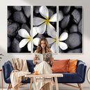 Plumeria Frangipani Black Stone Canvas | White Flower Spa by MyGreatCanvas | Canvas Wall Art Prints | Photo Prints & Wall Decor