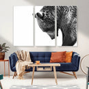 Black and White Grizzly 399 Bear Canvas Print Wall Art | by MyGreatCanvas | Canvas Wall Art Prints | Photo Prints & Wall Decor