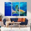 Sea Turtle Wall Art Canvas Print, Sea life in the Ocean Wall