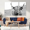 Newfoundland Cow Art Wall Art, Black White Cow Art Wall Art