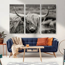 Cow Focus Canvas Wall Art Print by MyGreatCanvas | Canvas Wall Art Prints | Photo Prints & Wall Decor