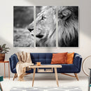 African Lion Wall Art Canvas Print – Majestic Wildlife