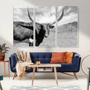 Cattle Wall Art Longhorn Cow Canvas Print
