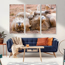 Lion Pair Wall Art Canvas Print – Framed Wildlife Scene with