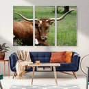 Longhorn Steer Canvas Wall Art – Rustic Nature Triptych