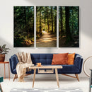 Sunlit Forest Pathway Canvas Print | 3 Panel Large Nature by MyGreatCanvas | Canvas Wall Art Prints | Photo Prints & Wall Decor