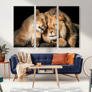Lion and Lioness Wall Art Canvas Print – Framed African
