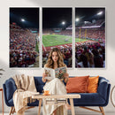 Washington-Grizzly Stadium Canvas Print, American Football