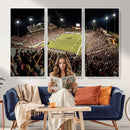Washington-Grizzly Stadium Canvas Wall Art – Exciting Game