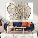 Abstract Wood Tree Ring Wall Art - Ready to Hang Minimalist