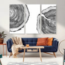 Abstract Large Tree Rings – Minimalist Black and White Wood