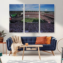 South Carolina Gamecocks Football Team Print - Columbia