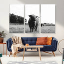 Black and White Highland Cow Wall Art Canvas Print | Rustic