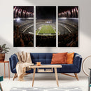 Eagles Field Stadium Wall Art - Philadelphia Eagles Football