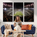 Eagles Field Stadium Wall Art - Philadelphia Eagles Football