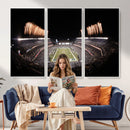Eagles Field Stadium Wall Art - Lincoln Financial Field
