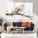 Barn Owl Wall Art on Branch | Stunning Canvas Print for