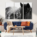 Black Horse in Snow Canvas Print | Winter Horse Wall Art |