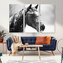 Horse Canvas Print - Winter Horse Snow Wall Art Canvas Print