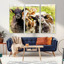 Curious Cows Farmhouse Wall Art | Ready to Hang and Framed