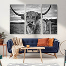 Scottish Highland Cow Wall Art Canvas Print | Ready to Hang