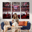 Carolina Hurricanes Ice Hockey Stadium Wall Art, Carolina