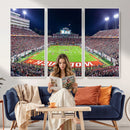NC State Wolfpack Canvas Print - Raleigh Carter-Finley