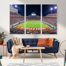 NC State Wolfpack Canvas Print - Raleigh Carter-Finley