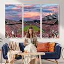 Carter-Finley Stadium Art Sunset Game Triple Canvas Wall Art