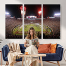 Framed Florida State Seminoles Football Team Print -