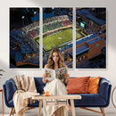 University of North Texas Mean Green Football Artwork,