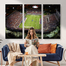 Florida Atlantic University Owls Football Team Print - Boca