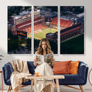 University of Illinois Fighting Illini Football Team Print -
