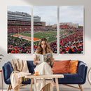 University of Illinois Fighting Illini Football Team Print -