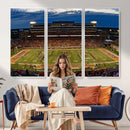 University of Illinois Fighting Illini Football Team Print -