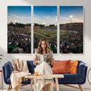 University of Charlotte 49ers Football Team Print -