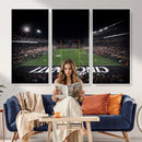 Cincinnati Bearcats Football Team Print - Nippert Stadium