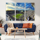 Framed USF Bulls Football Team Print - Tampa Raymond James by MyGreatCanvas | Canvas Wall Art Prints | Photo Prints & Wall Decor