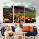 Central Michigan University Chippewas Football Team Print -